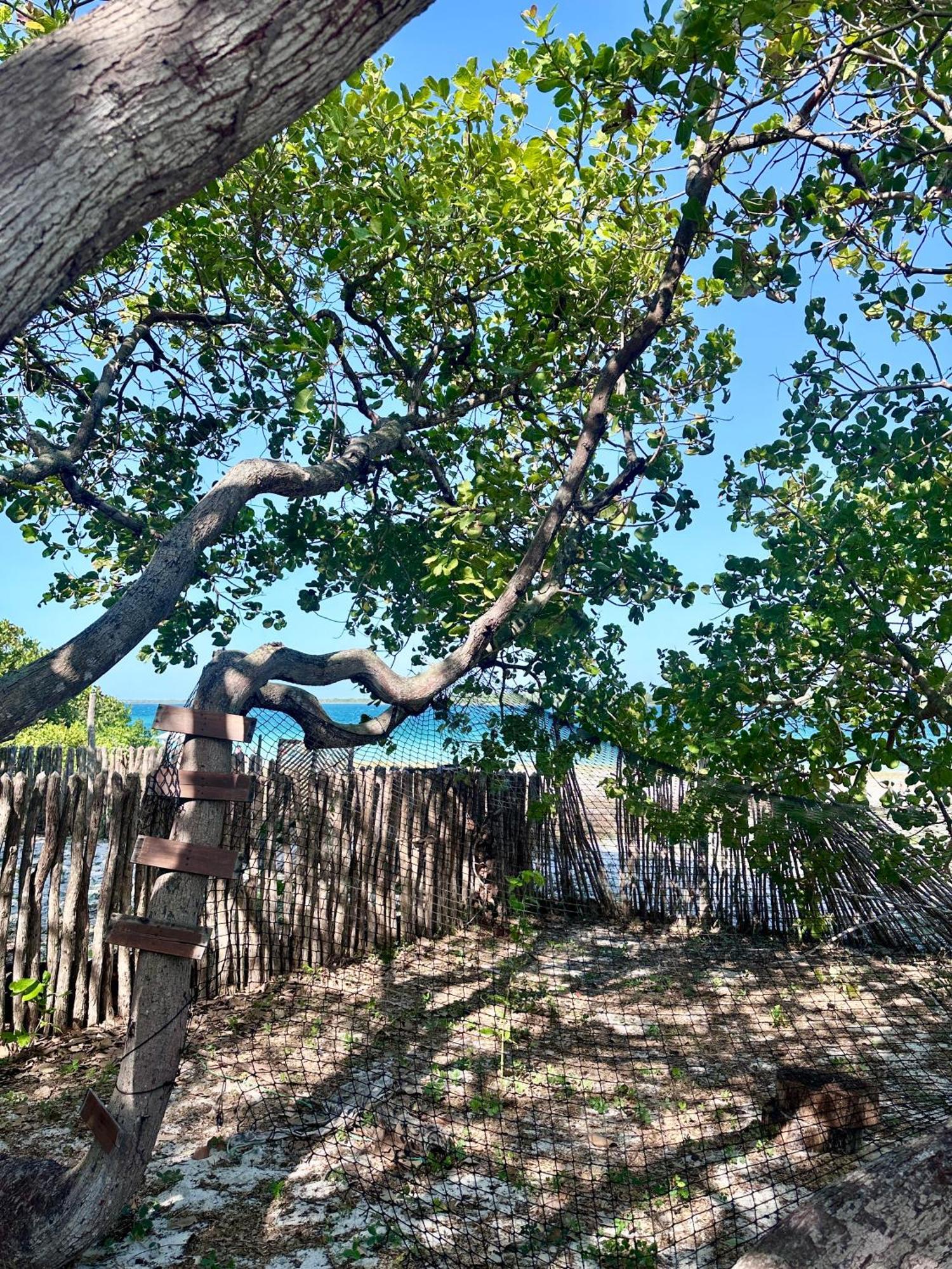 Manay Lagoa Do Paraiso, Casa 2 Quartos Na Beira Da Lagoa Villa Jijoca de Jericoacoara Buitenkant foto